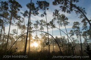 Josh Manring Photographer Decor Wall Art -  Florida Everglades -93.jpg